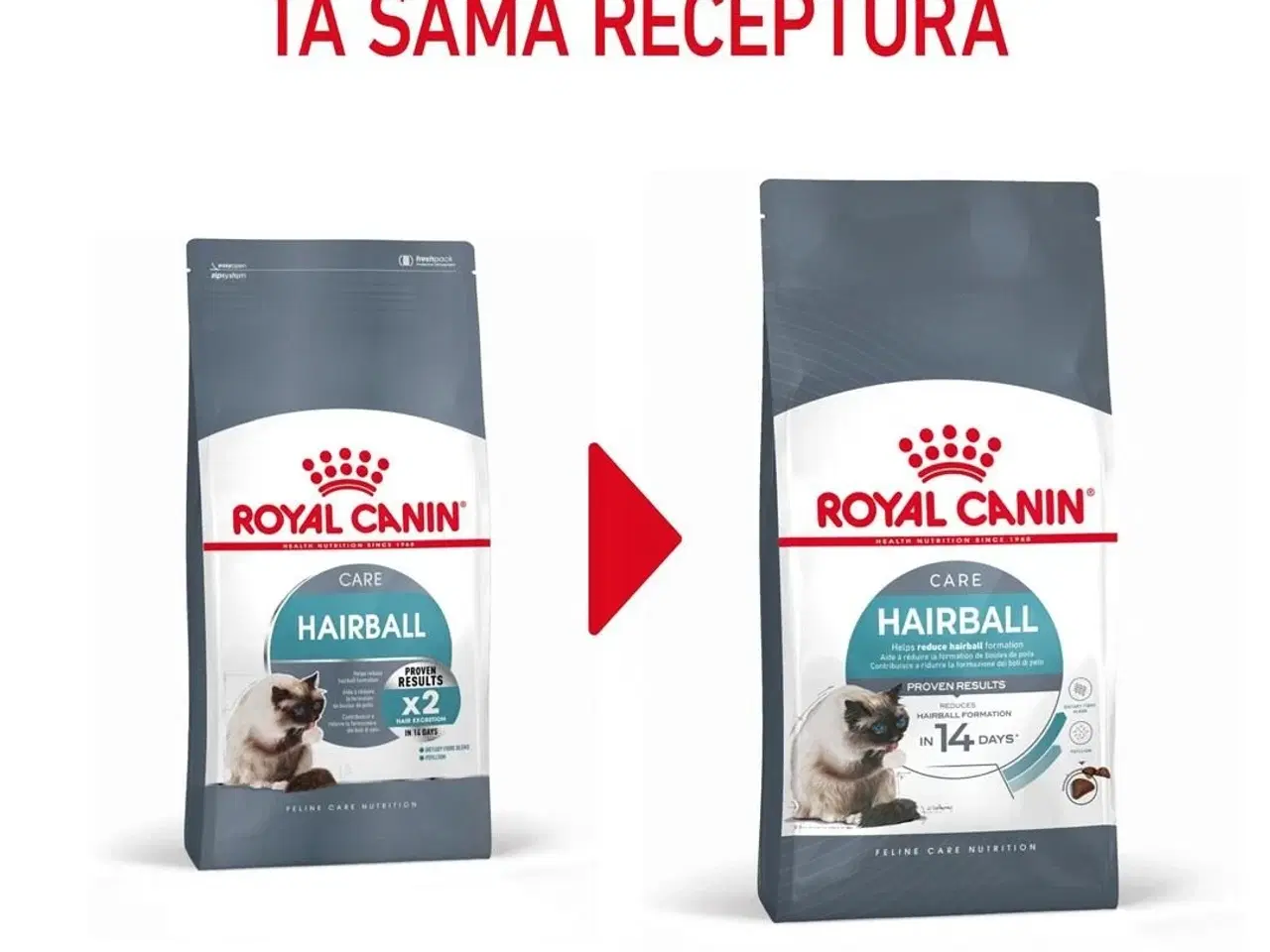 Billede 6 - Kattemad tørfoder Royal Canin Hairball Care 10 kg – voksen kat