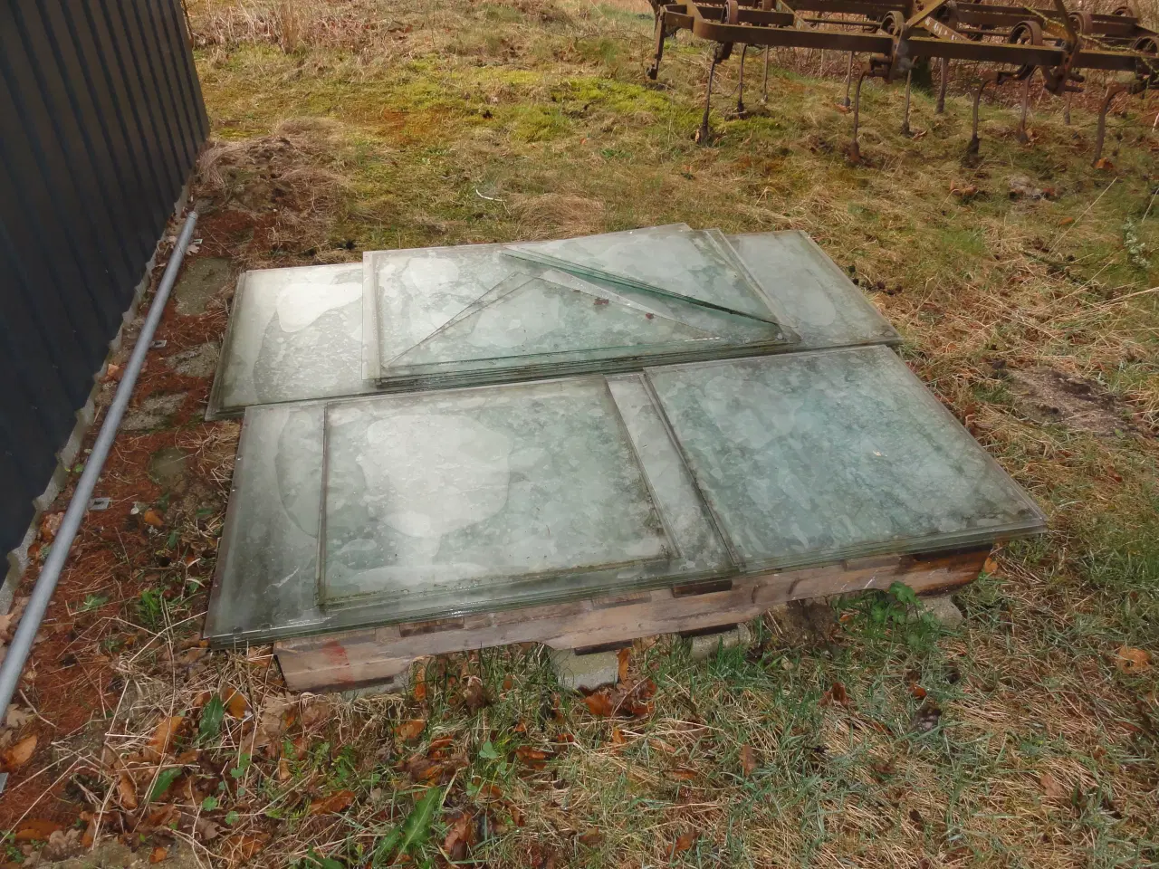 Billede 2 - Drivhus glas til Halls Magnum 148.
