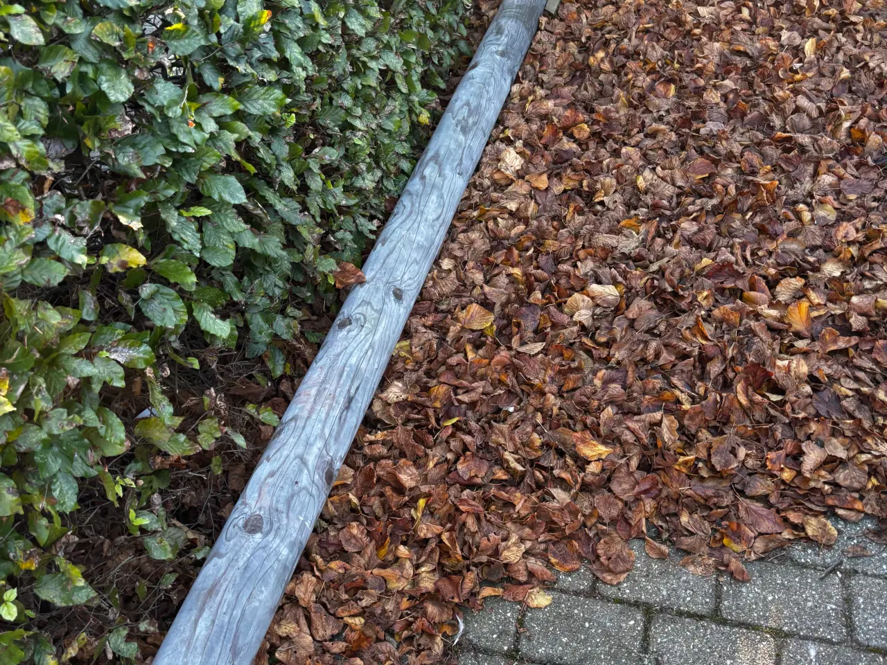 Billede 3 - Stople i lærketræ, 5 meter lang og 14 cm i diamete