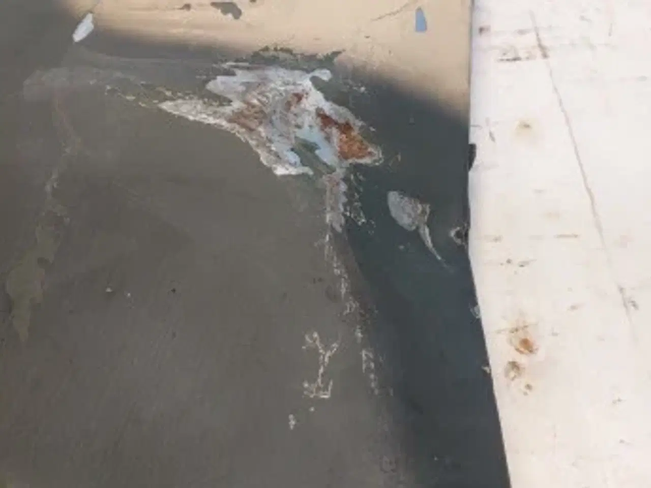 Billede 10 - Hydrema 806 sidedæksel højre 363244