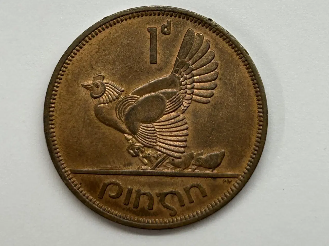 Billede 1 - 1 Pingin Ireland 1965