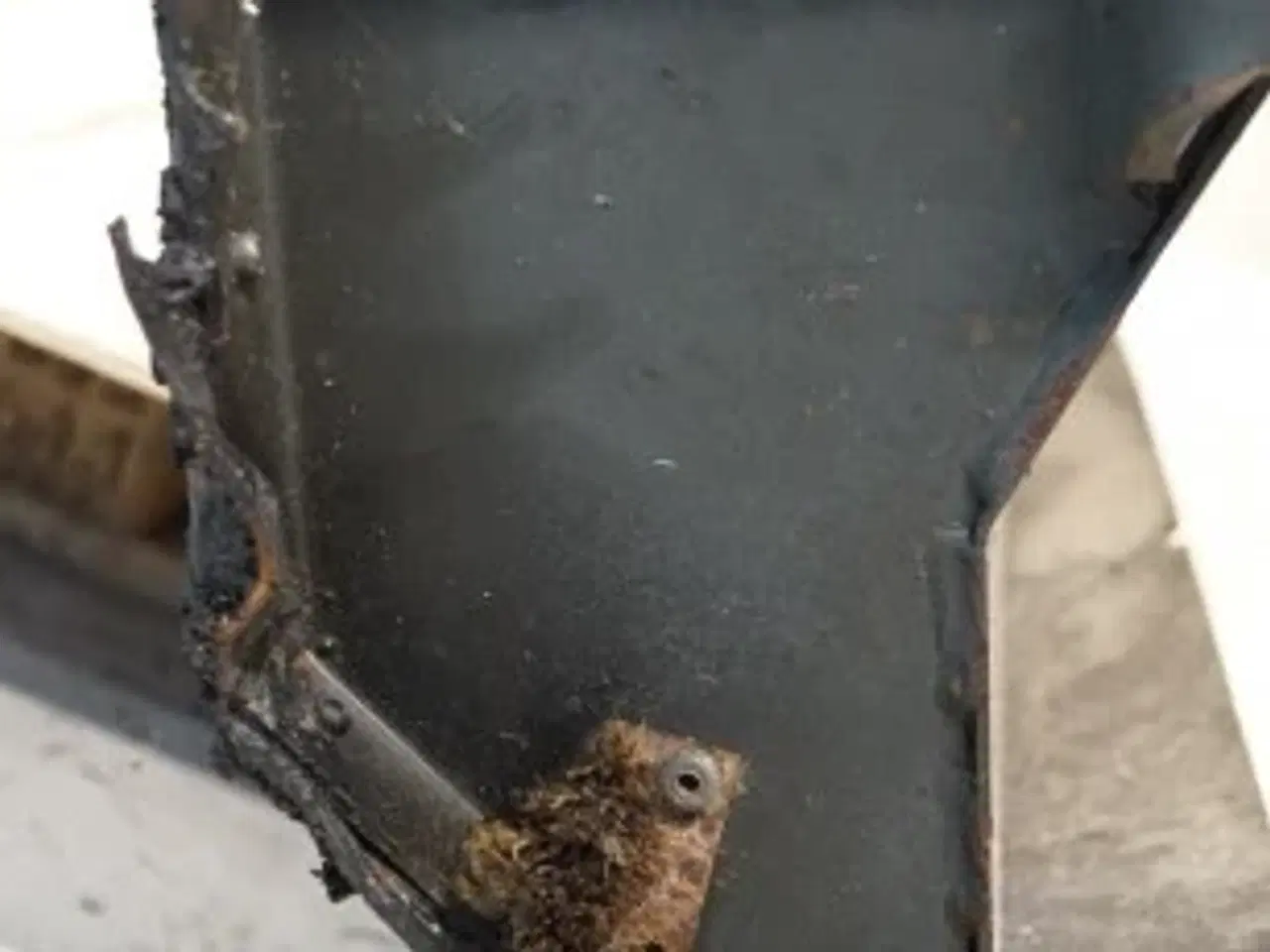 Billede 3 - Claas Lexion 580 Stenfælde 7773732