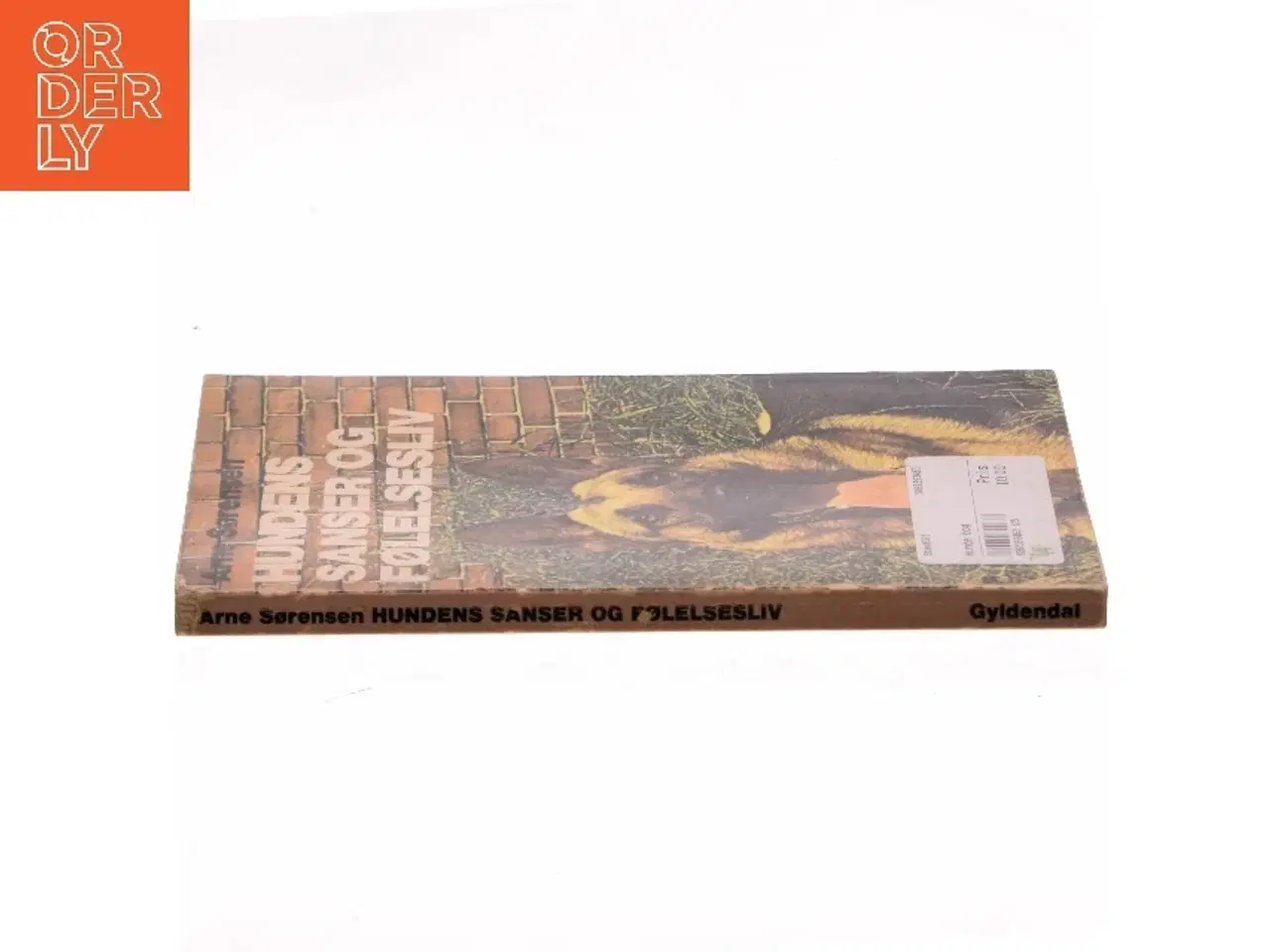 Billede 2 - Hundens sanser og følelsesliv af Arne Sørensen (Bog)