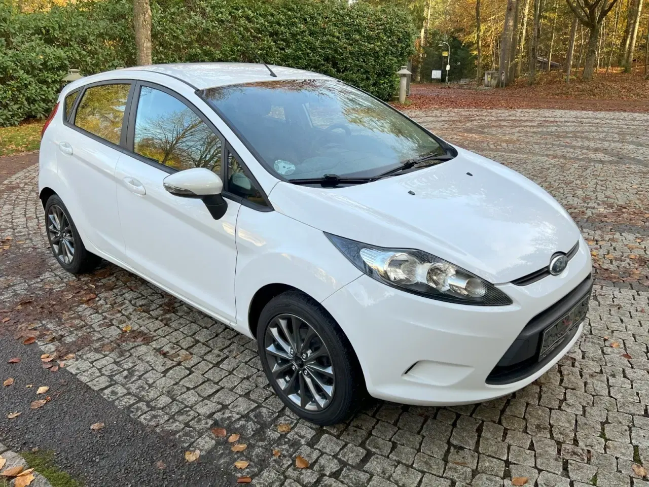 Billede 1 - Ford Fiesta 1,25 60 Trend