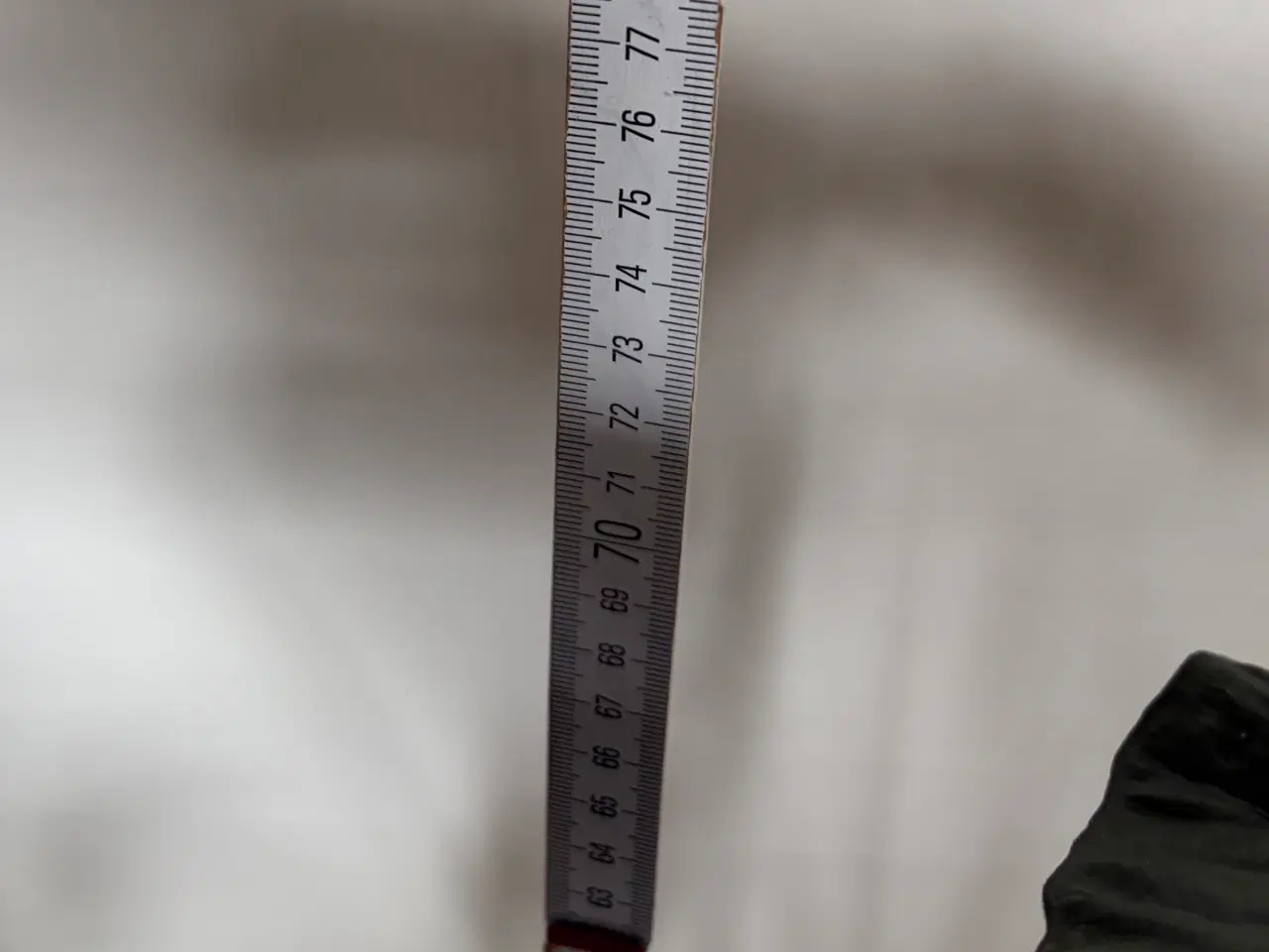 Billede 4 - Flot stueplante med skjuler