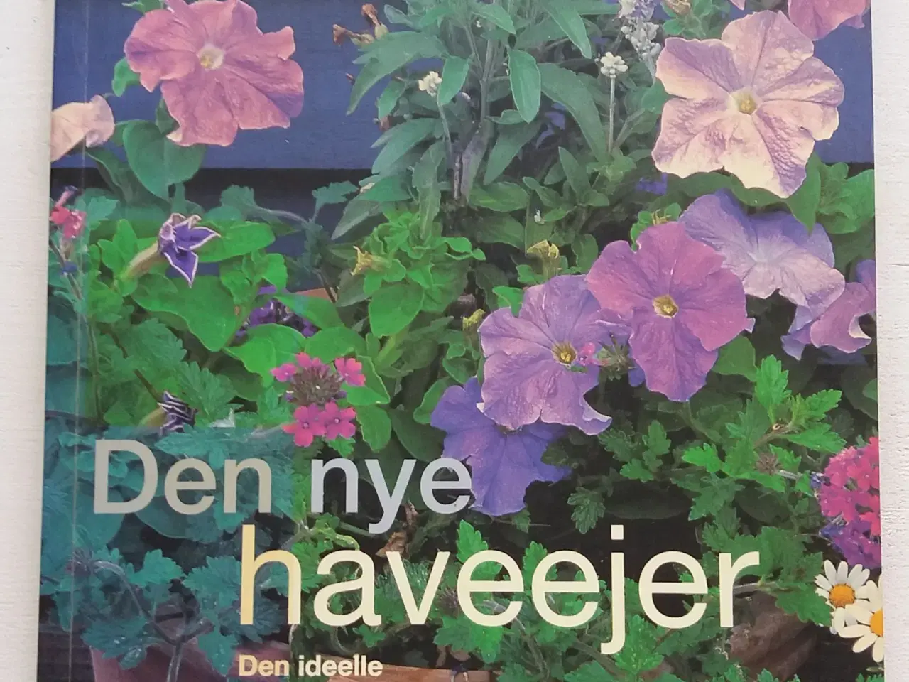 Billede 1 - Den nye haveejer