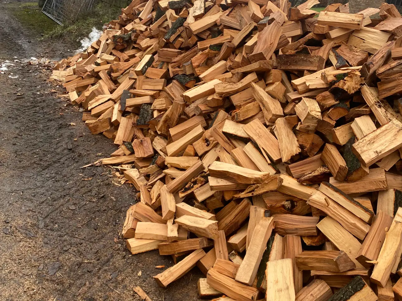 Billede 2 - Bøge brænde ny skovet 