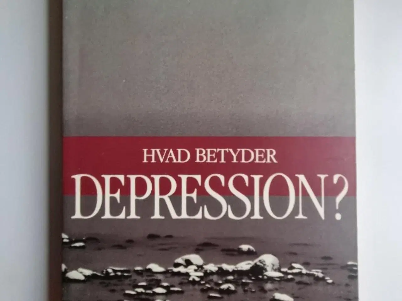 Billede 2 - Hvad betyder depression?