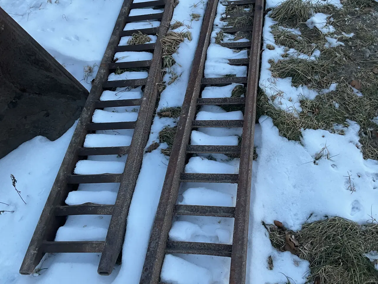 Billede 2 - Slisker, kraftige