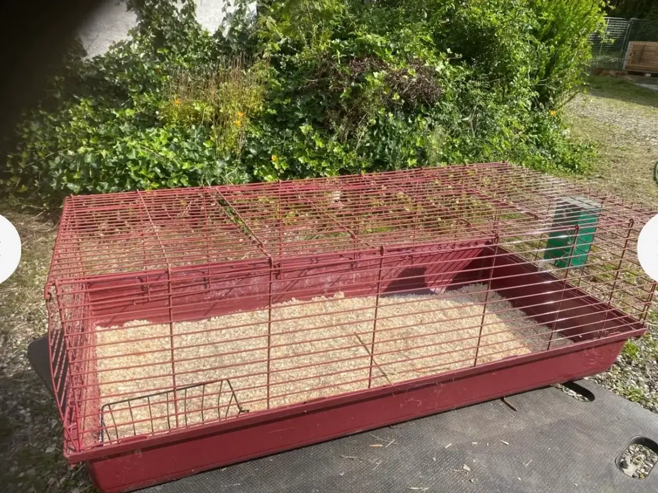 Billede 1 - Kanin marsvin bur