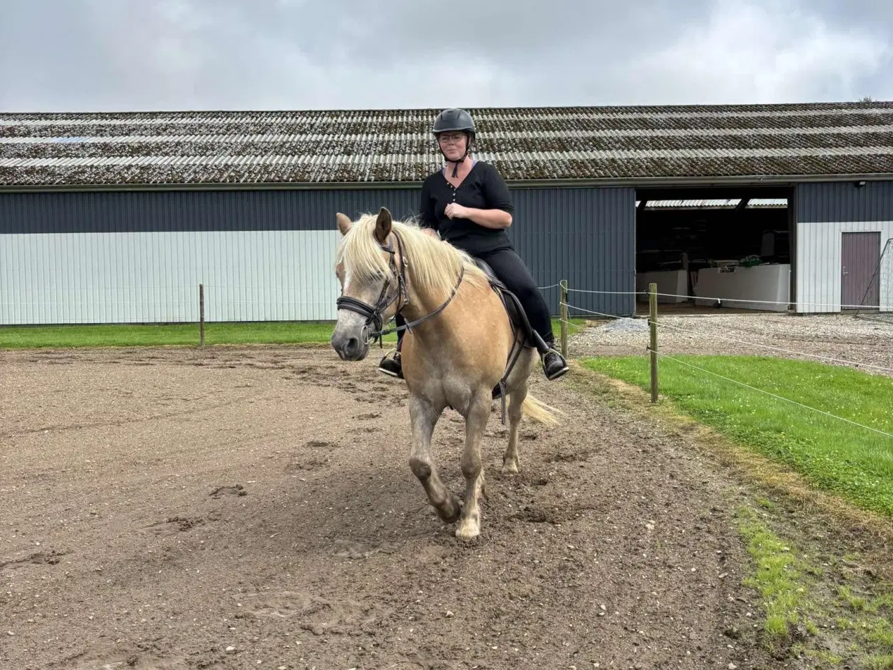 Billede 5 - Super sød haflinger