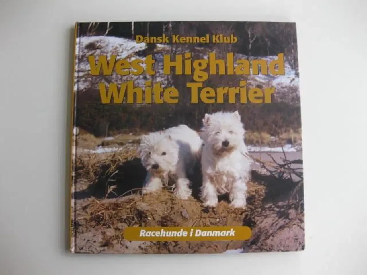 Billede 1 - West Highland White Terrier