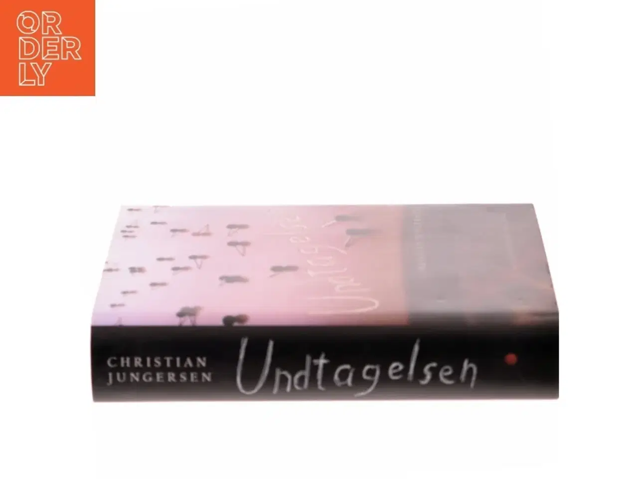 Billede 2 - Undtagelsen : roman af Christian Jungersen (Bog)