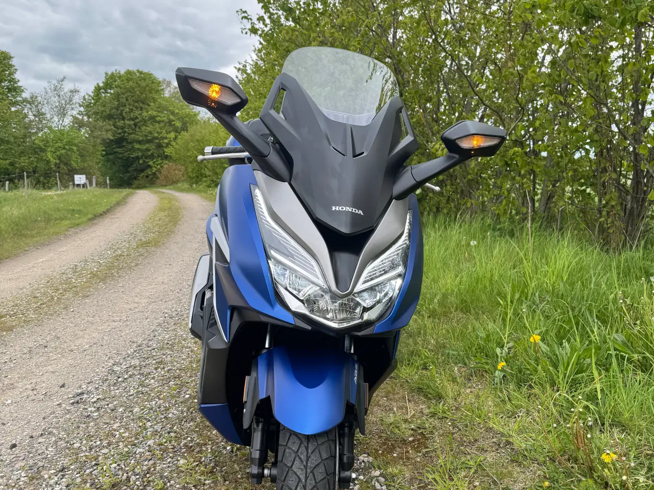 Billede 1 - Honda NSS350