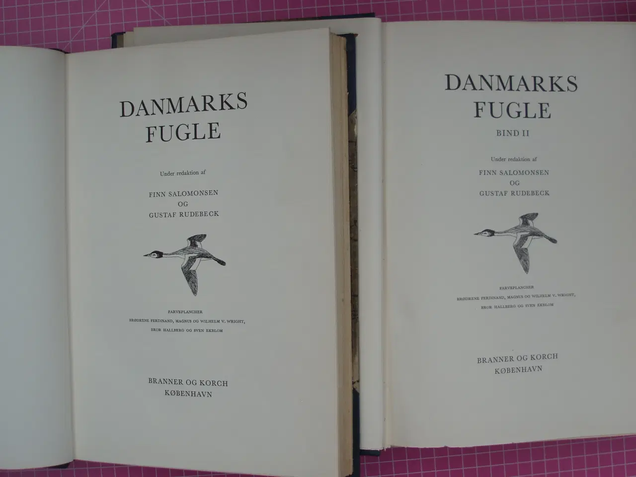 Billede 2 - Danmarks fugle i 2 bind