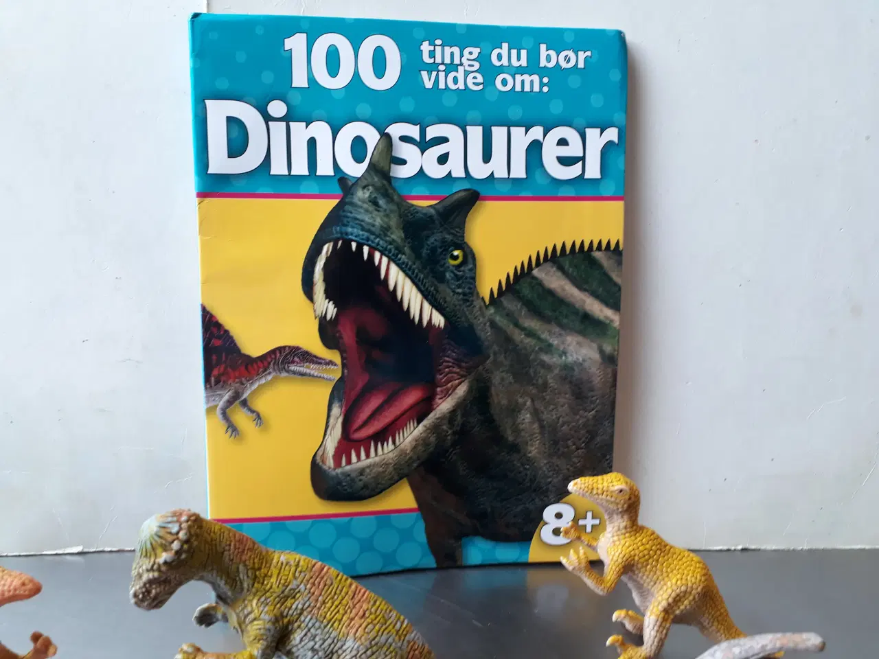 Billede 3 - 19 Dinosaurs & 1 Dinobog