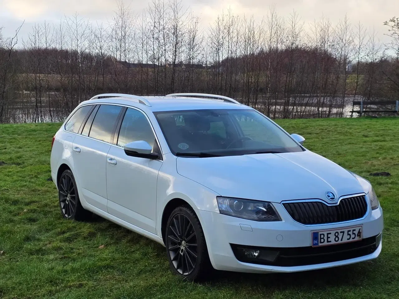 Billede 2 - Skoda Octavia 1,0 TSi 115 Style Combi DSG
