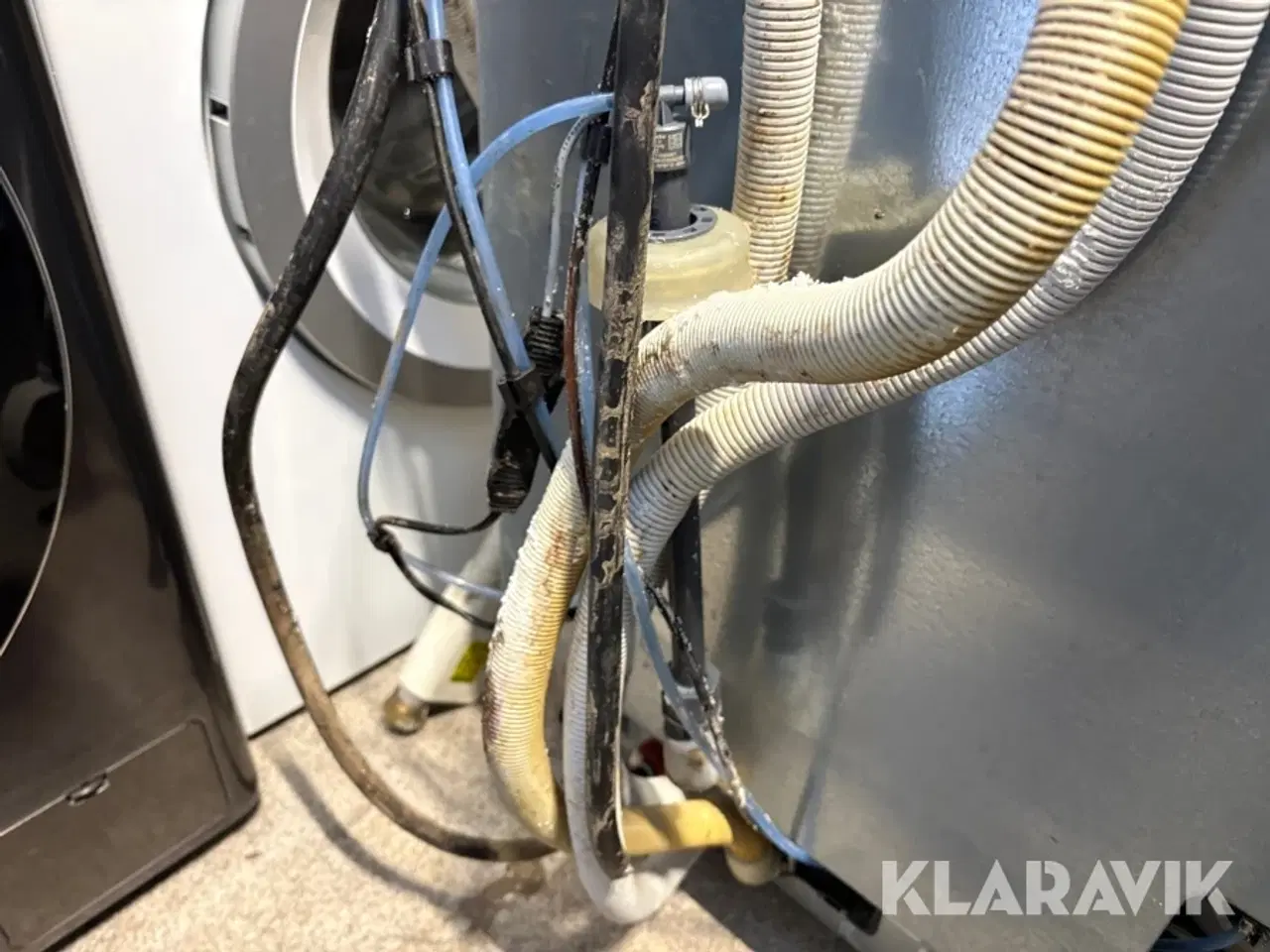 Billede 8 - Industriopvasker Miele PG 8099 DOS