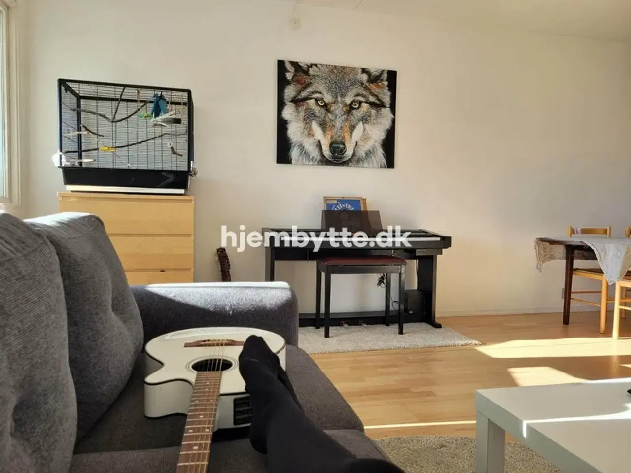 Billede 2 - Hjembytte - Novembervej