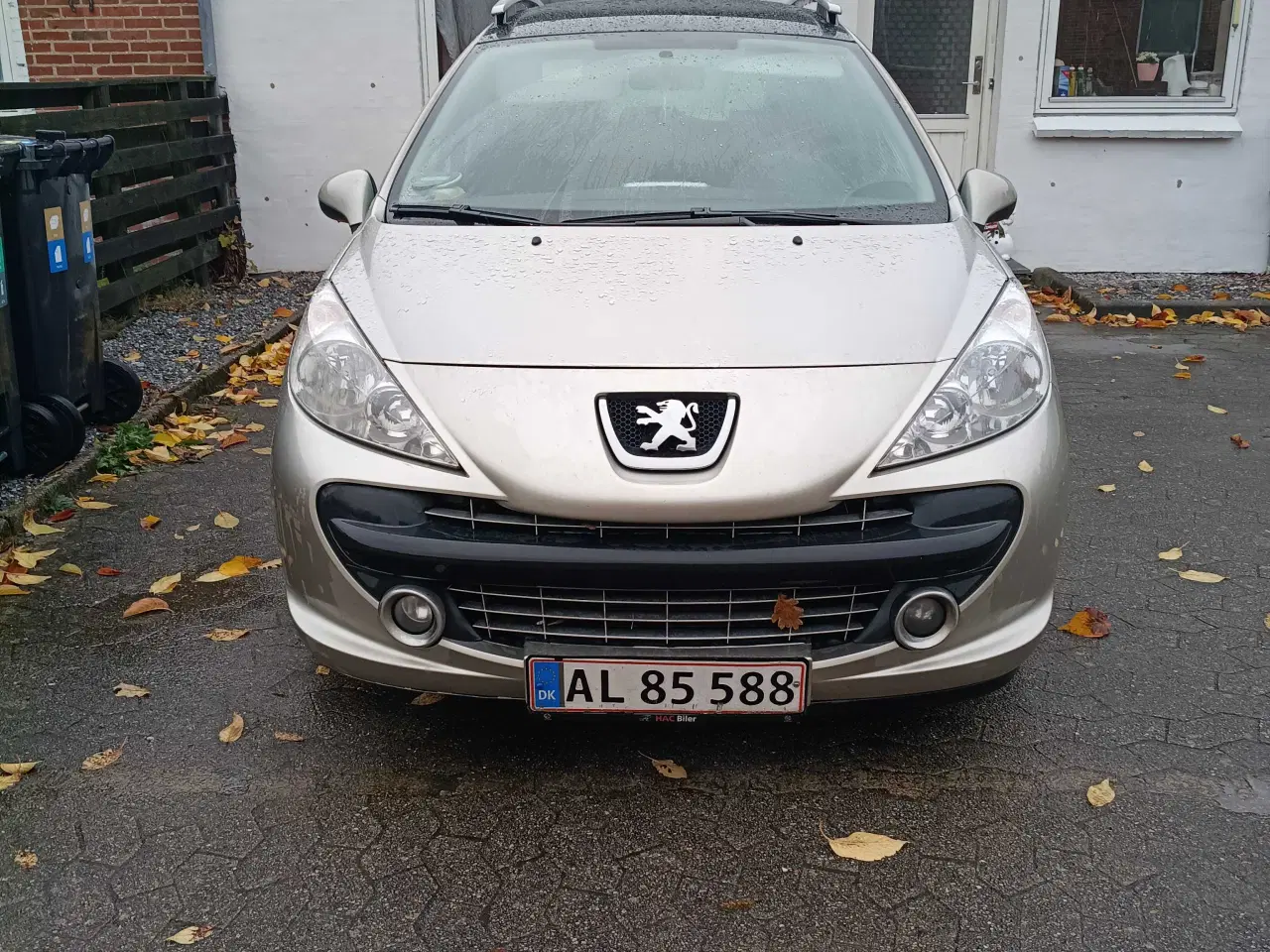 Billede 1 - Synet den 04/05 2024