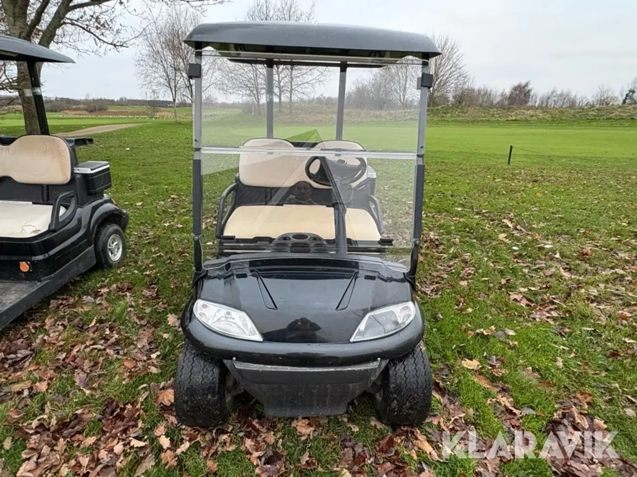 Billede 7 - Golfvogn Zodiac LT-A627.2 Buggy 1 styks