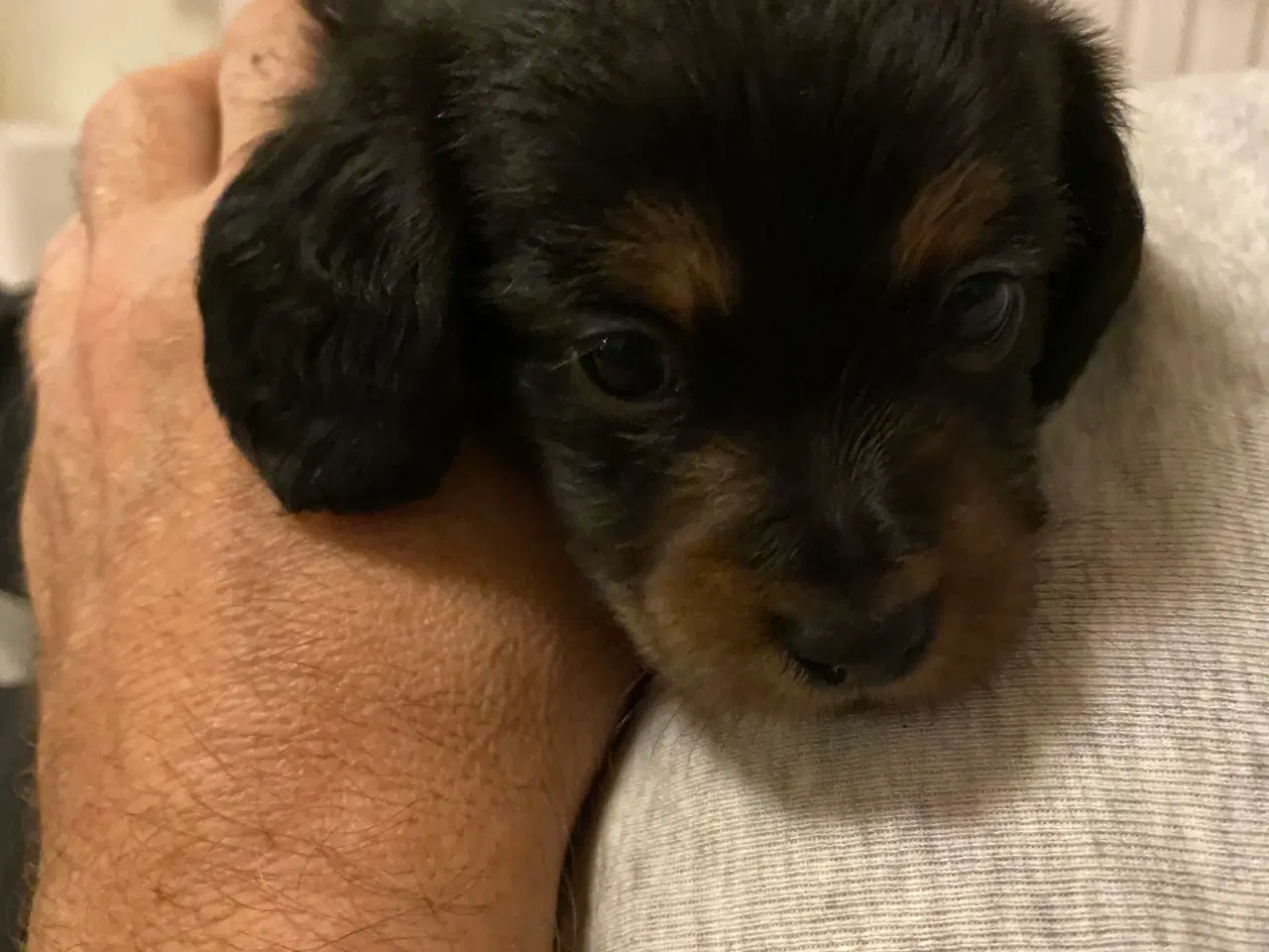 Billede 9 - 1 lille dreng tilbage 