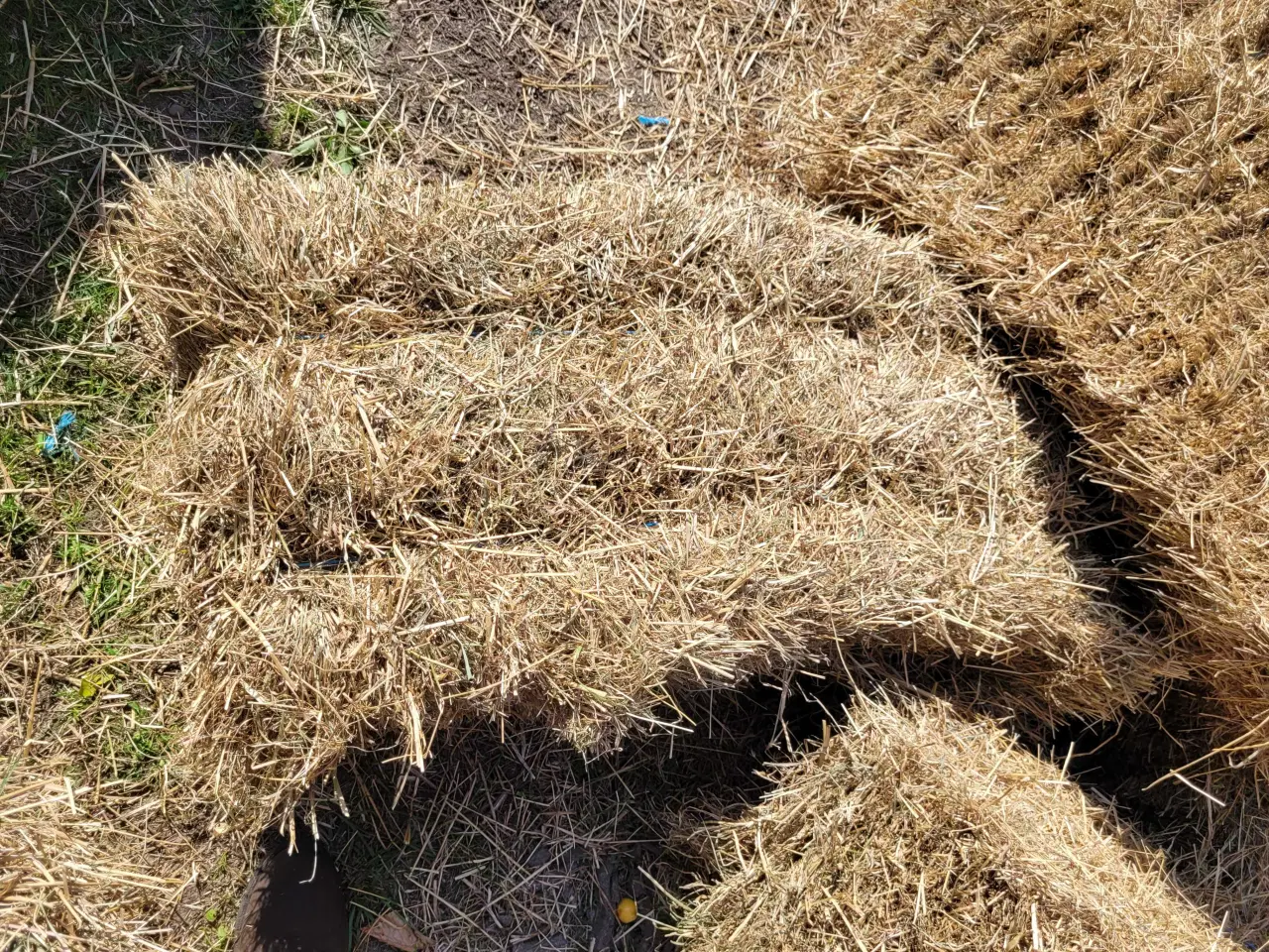 Billede 2 - Hø I Morten Korch små baller