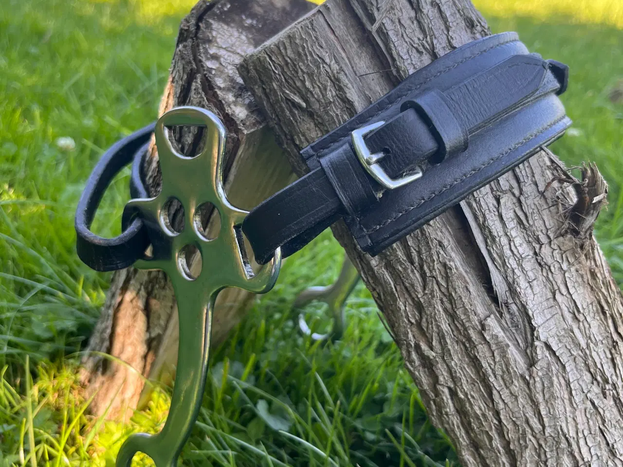 Billede 3 - Hackamore, læder, full, sort