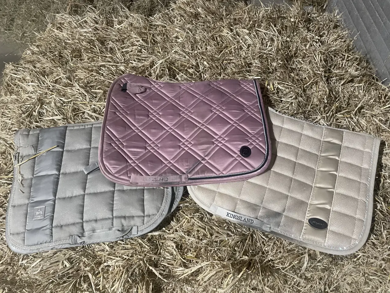 Billede 1 - Kingsland pony/COB