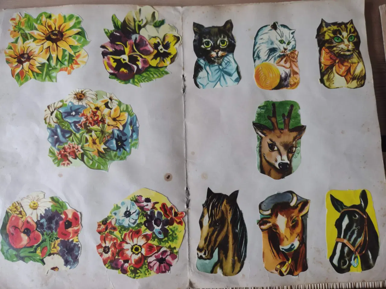 Billede 9 - Glansbilleder