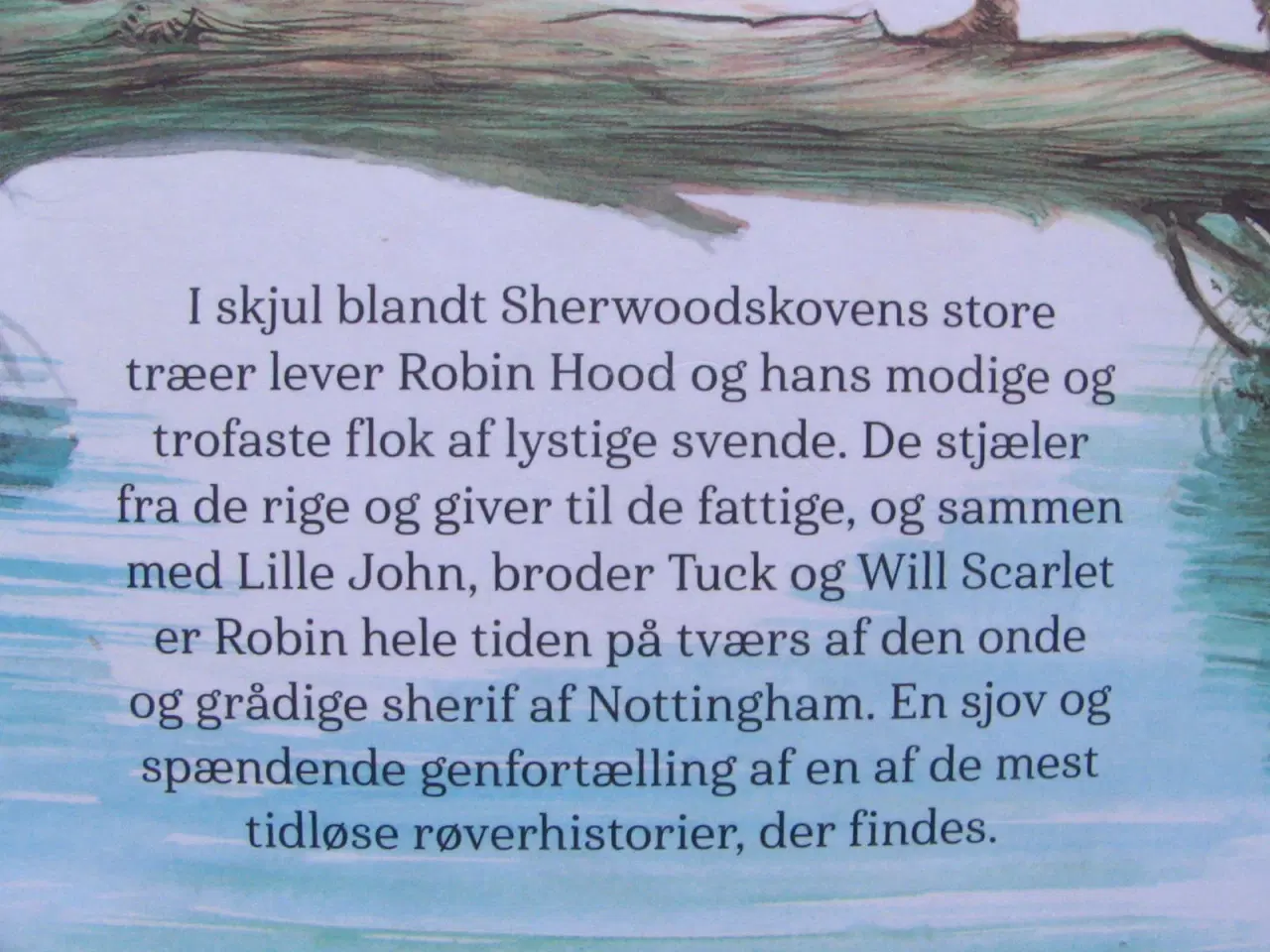 Billede 2 - 2 stk Illustrerede klassikere fra 2019