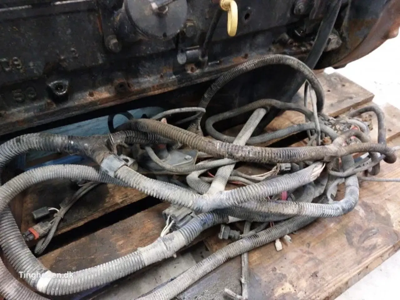 Billede 15 - Cummins 6TA-590 Motor 183841A4