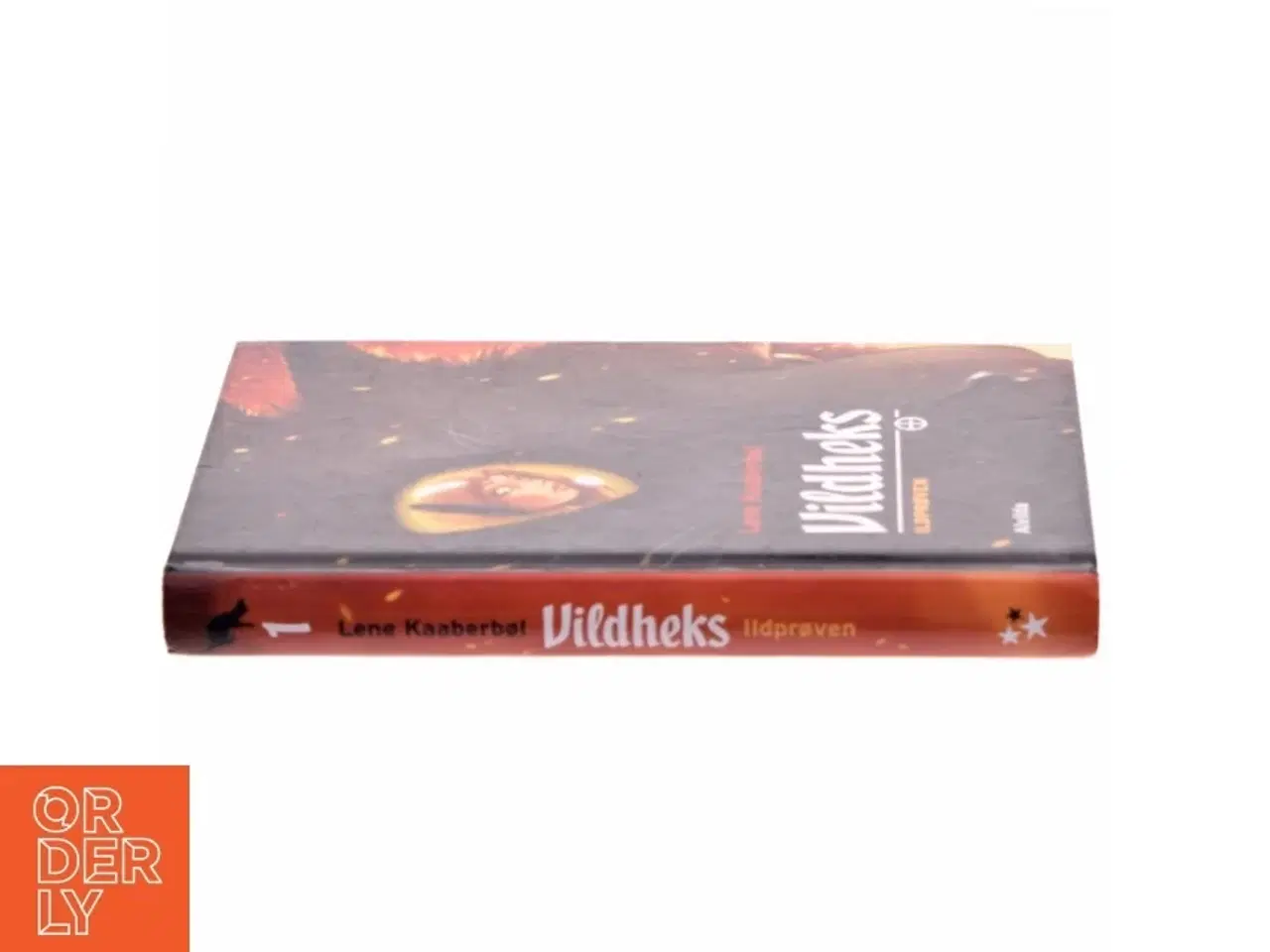 Billede 2 - Vildheks. Bind 1, Ildprøven af Lene Kaaberbøl (Bog)