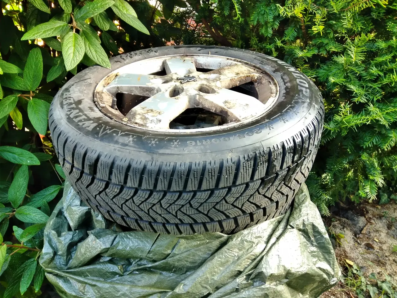 Billede 1 - Vinterdæk på originale Peugeot alufælge 