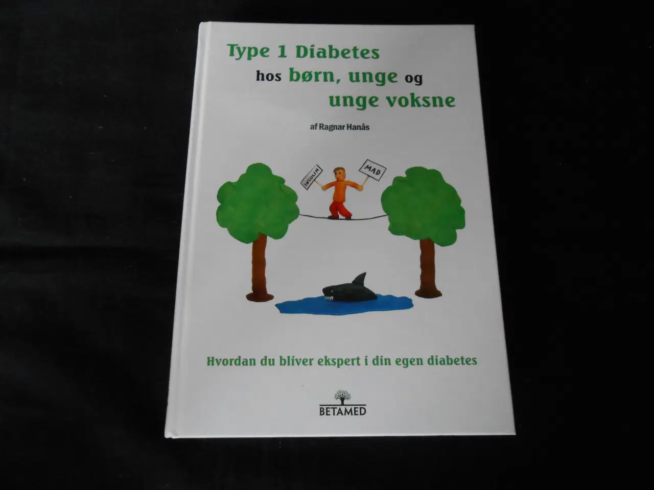 Billede 1 - Type 1 Diabetes hos Børn,unge og unge voksne