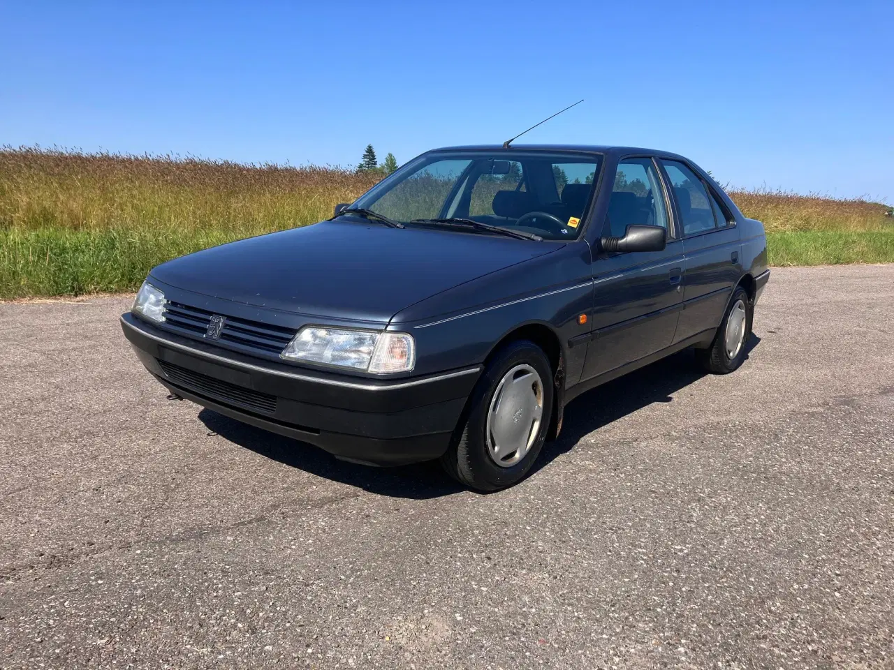 Billede 3 - Peugeot 405 