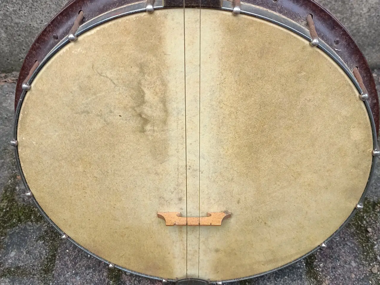 Billede 3 - Harmony banjo 