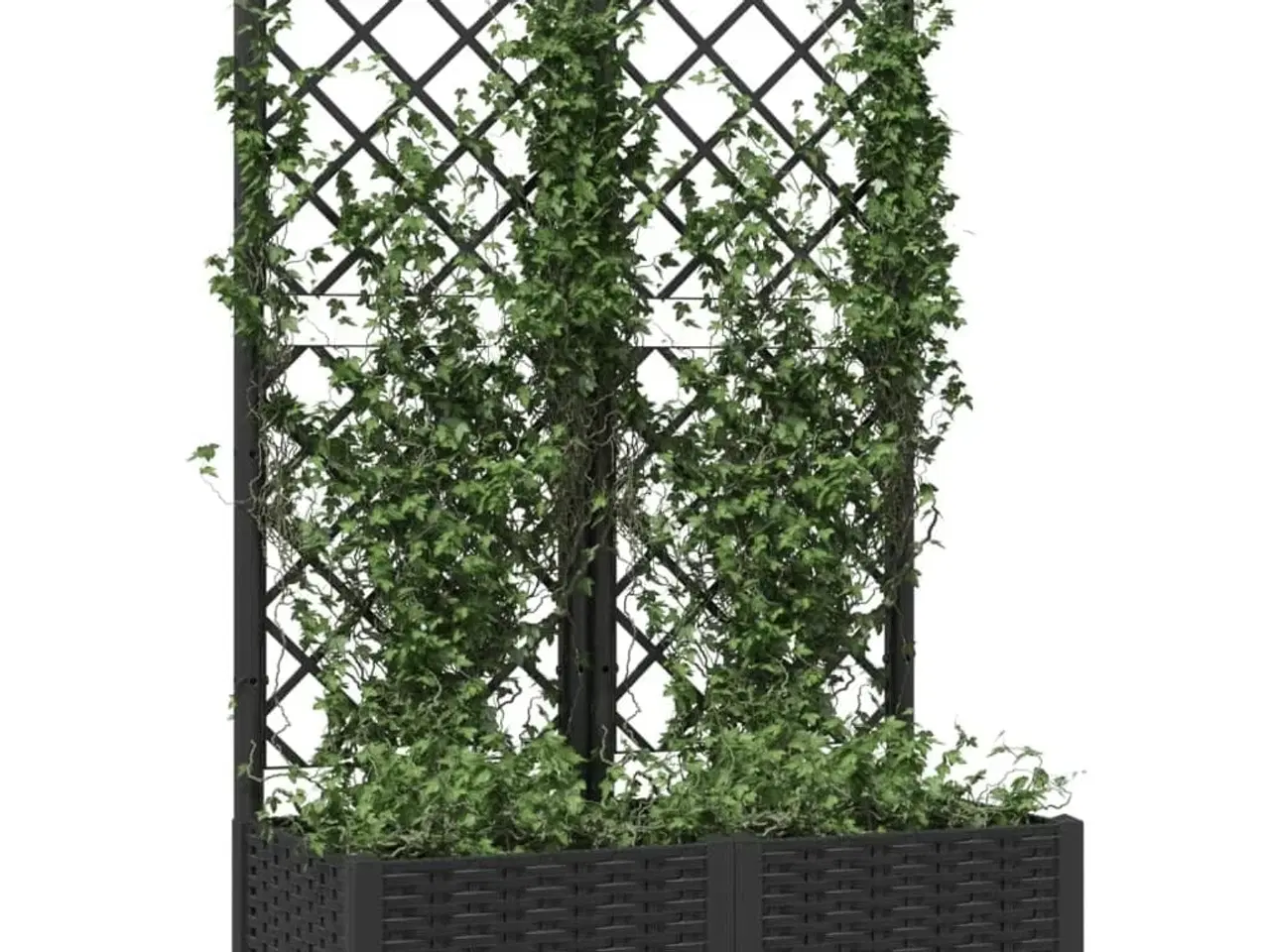 Billede 3 - Plantekasse med espalier 80x40x121,5 cm PP sort