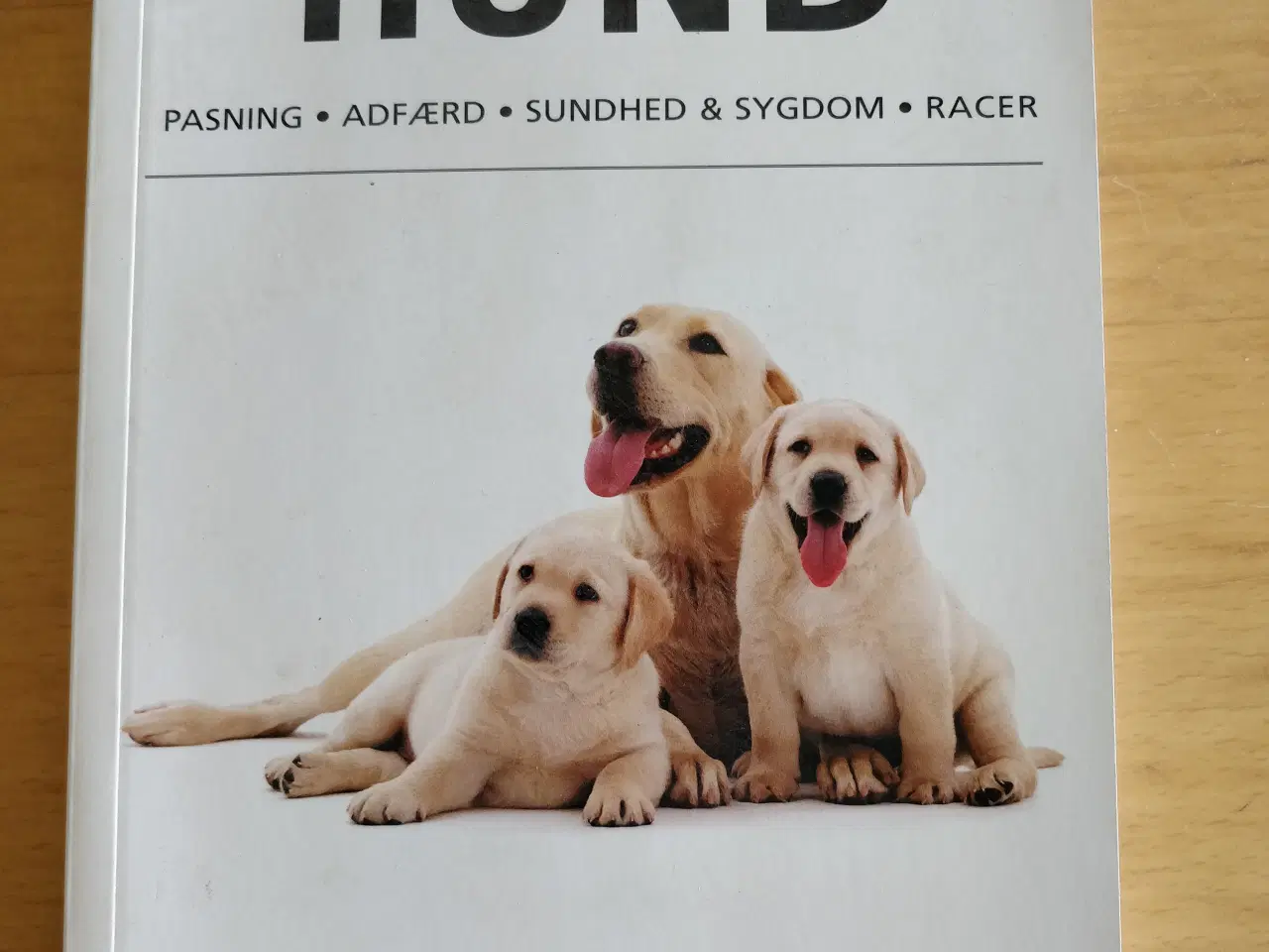 Billede 1 - Den komplette håndbog til din hund