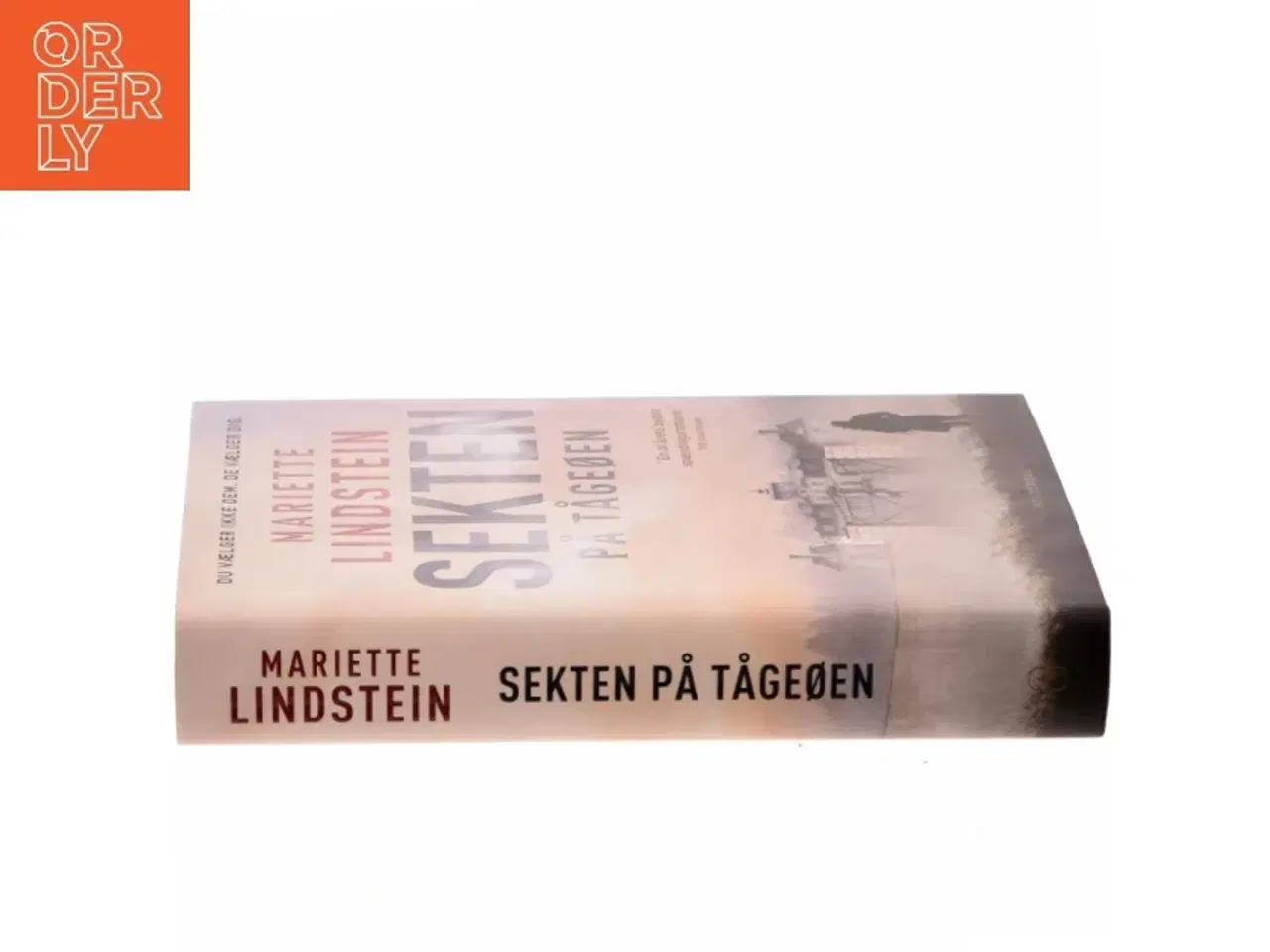 Billede 2 - Sekten på Tågeøen af Mariette Lindstein (f. 1958) (Bog)