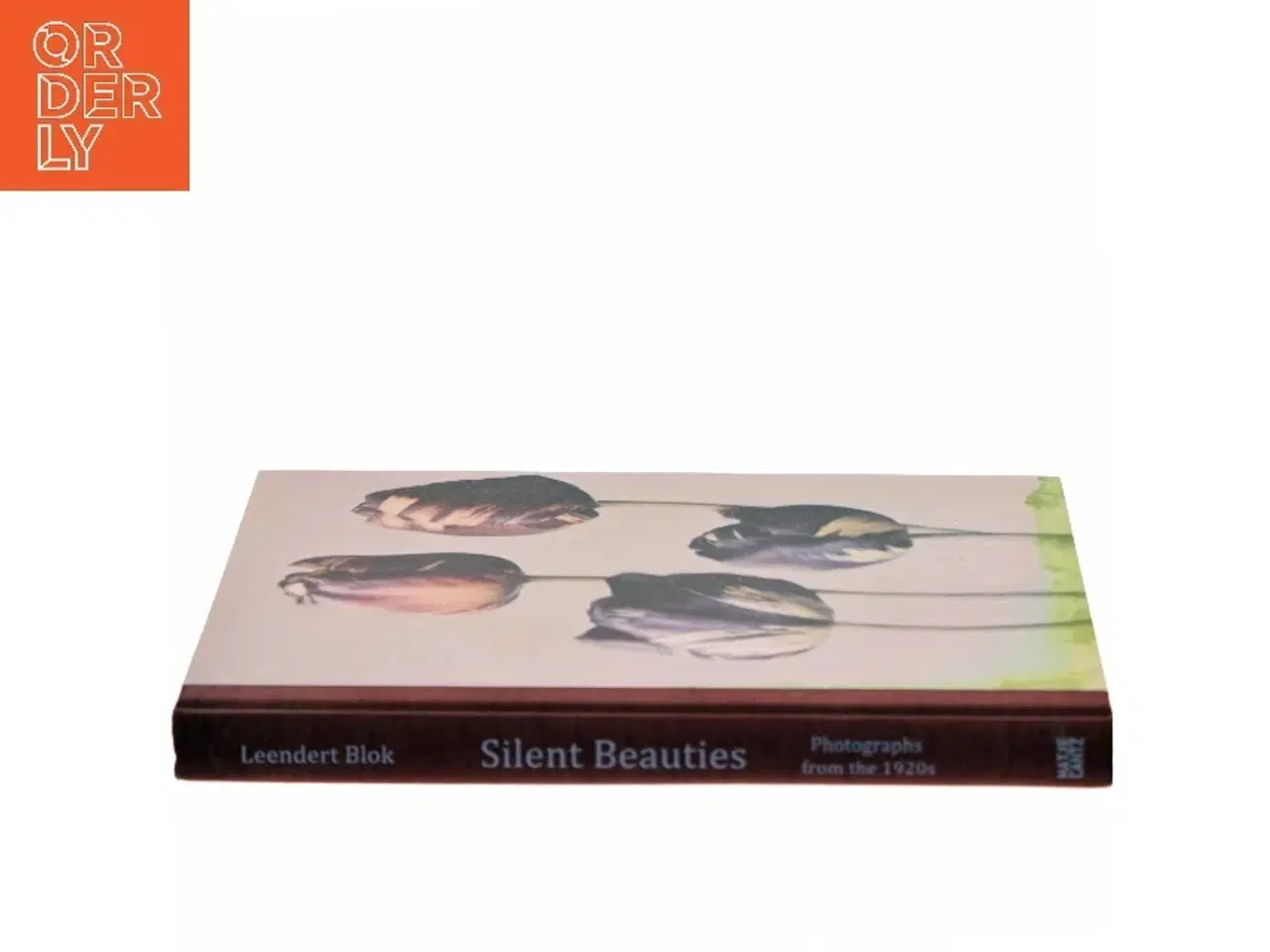 Billede 2 - Silent Beauties af Leendert Blok (Bog)