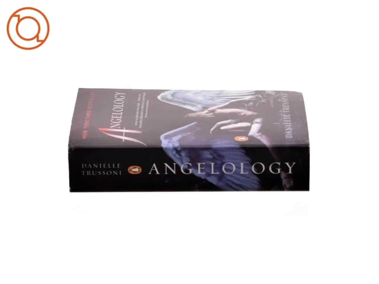 Billede 2 - Angelology af Danielle Trussoni (Bog)