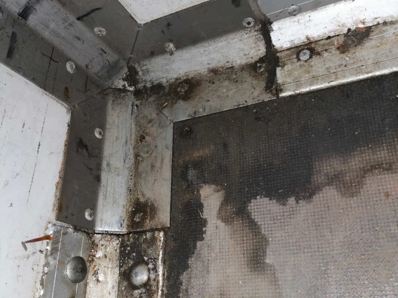 Billede 10 - God Fin cargo trailer med nogle år på bagen