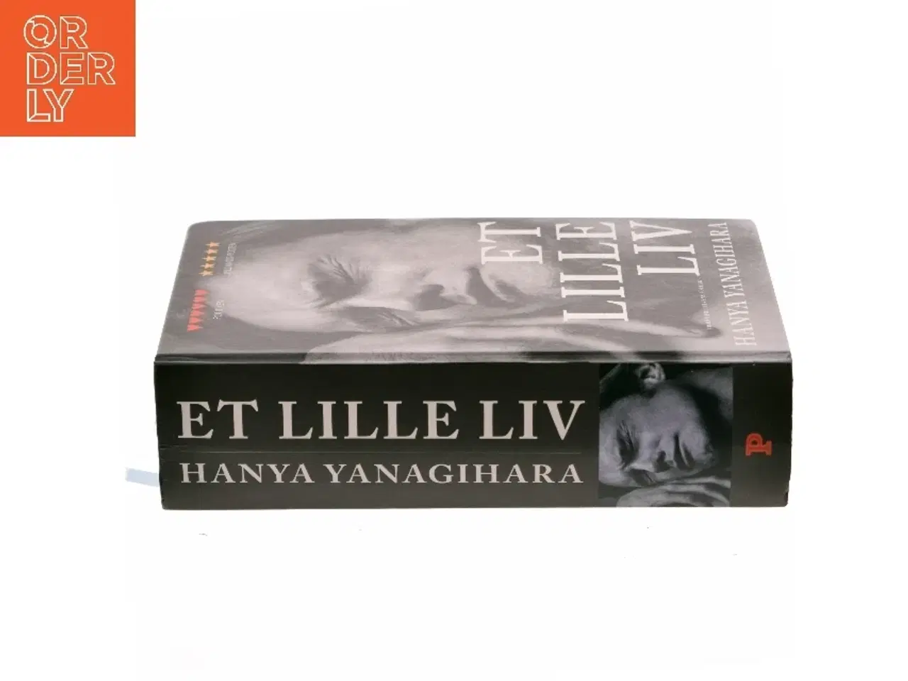 Billede 2 - Et Lille Liv af Hanya Yanagihara (Bog)