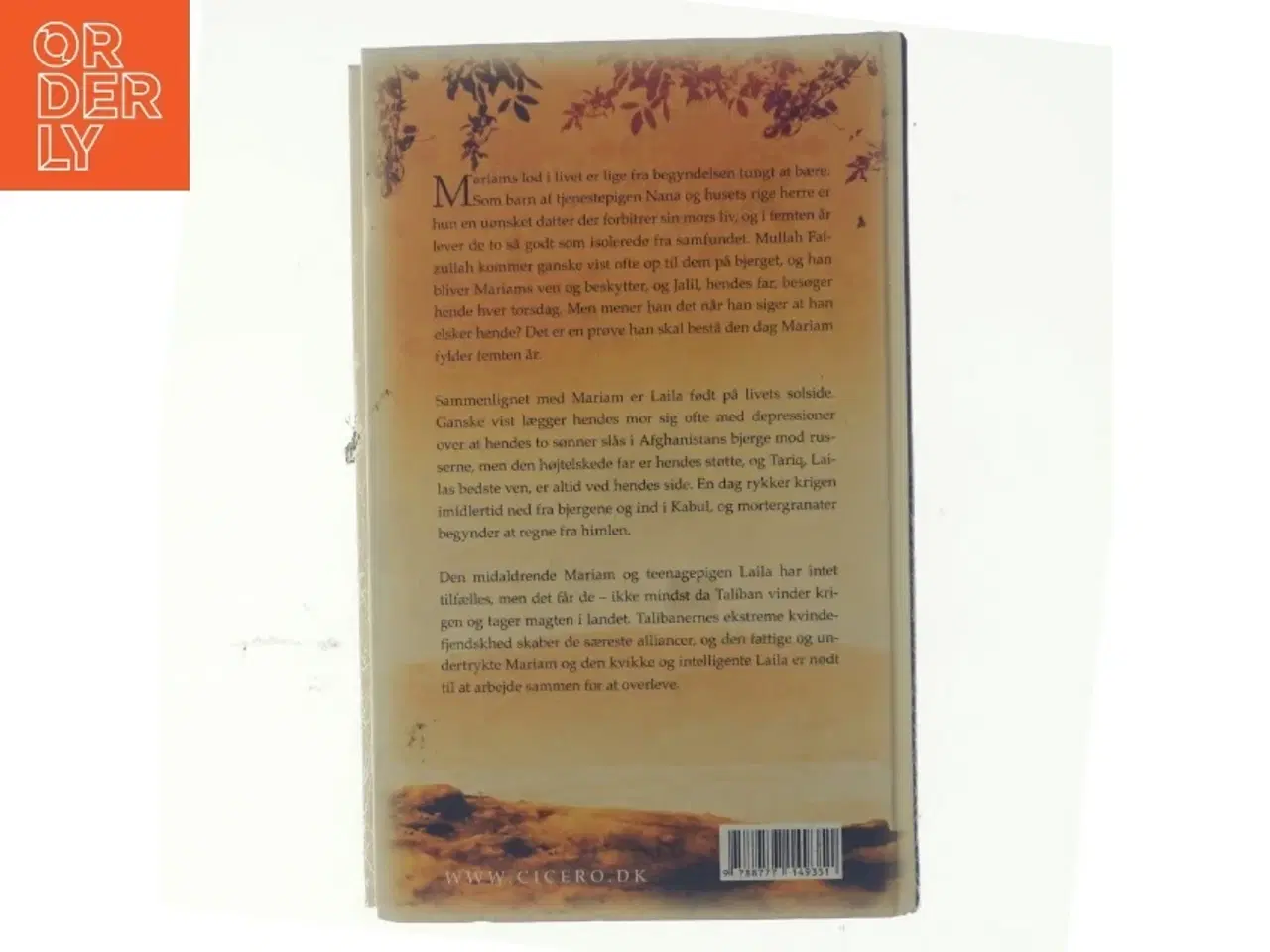 Billede 3 - Under en strålende sol af Khaled Hosseini (Bog)