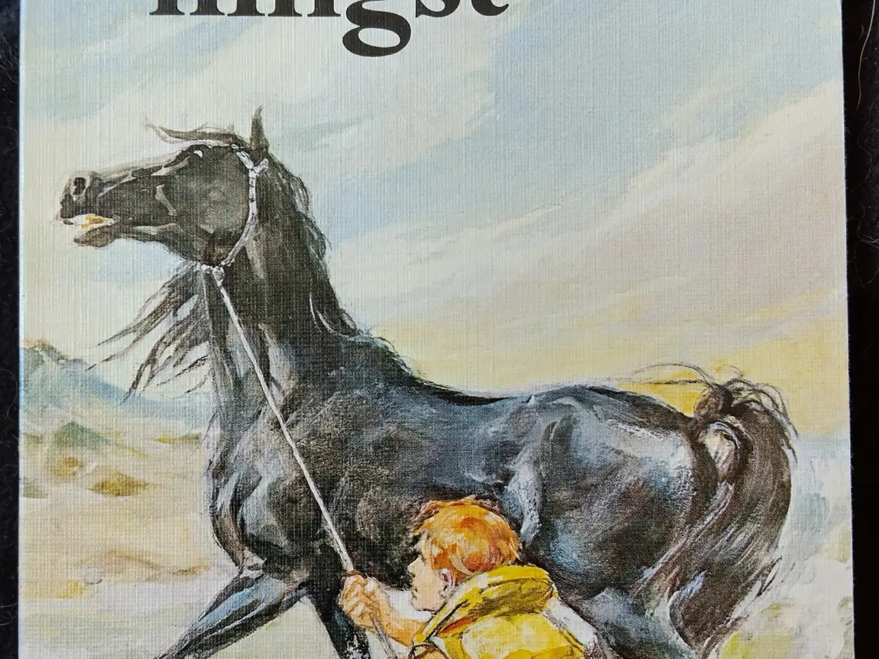 Billede 2 - Den sorte hingst