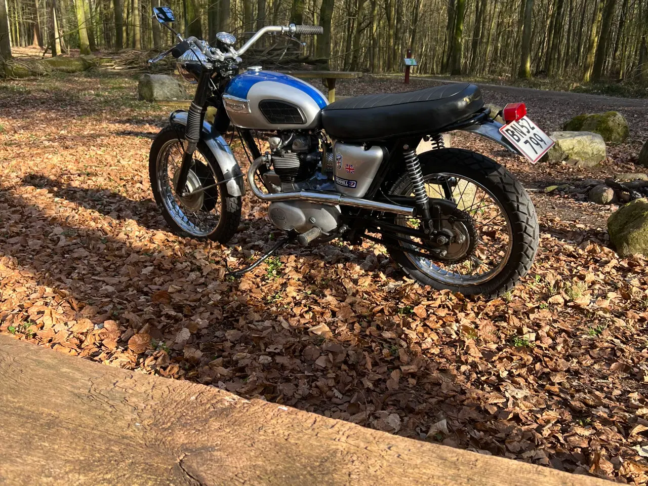 Billede 3 - Triumph 