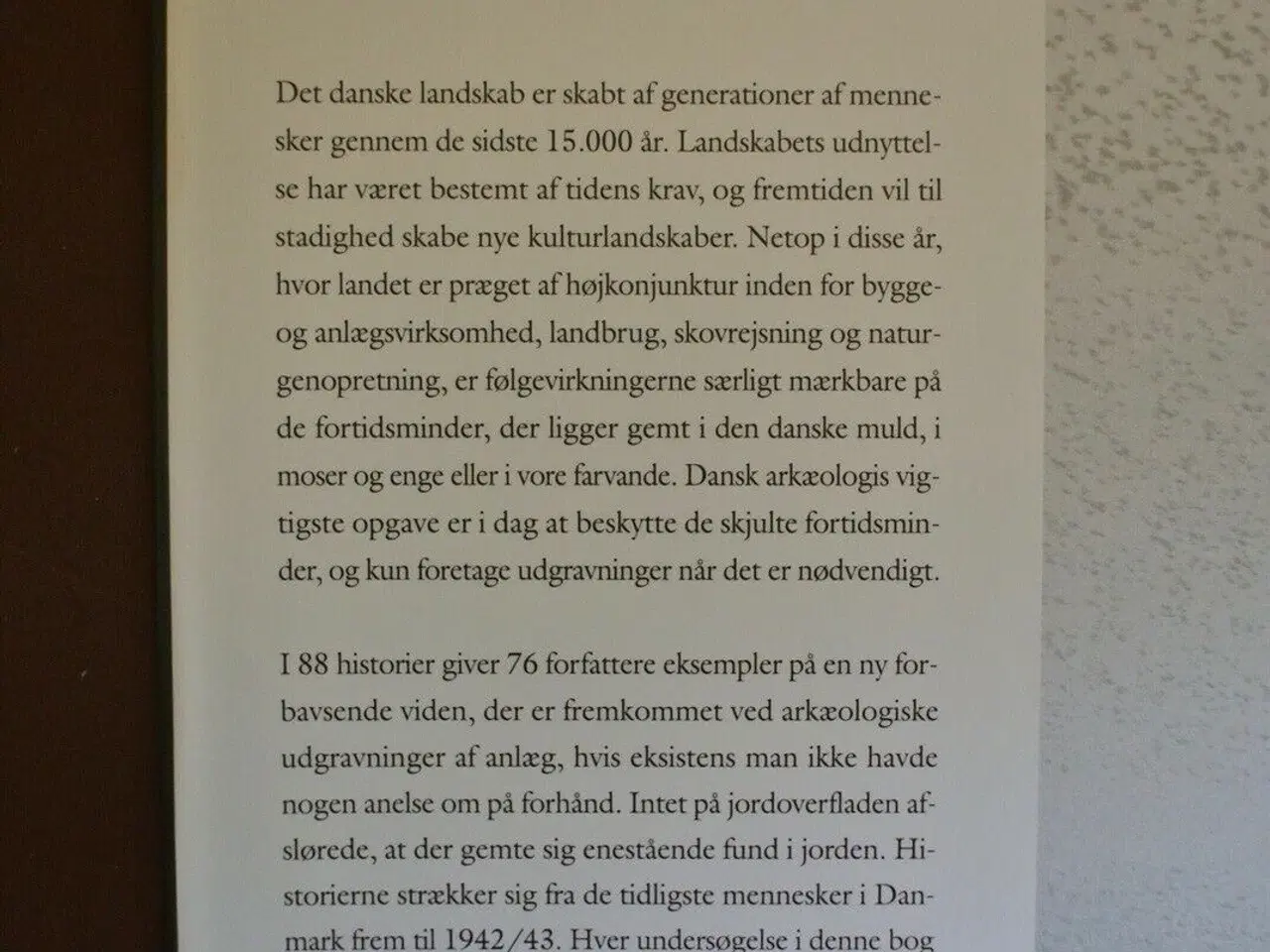 Billede 4 - vor skjulte kulturarv. arkæologien under overflade