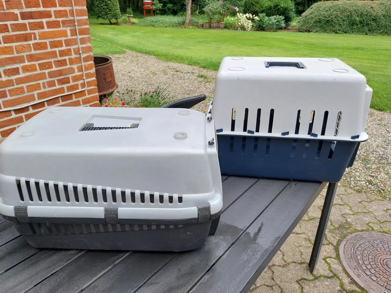 Billede 2 - Transportkasser til små hunde eller katte. Prisen 