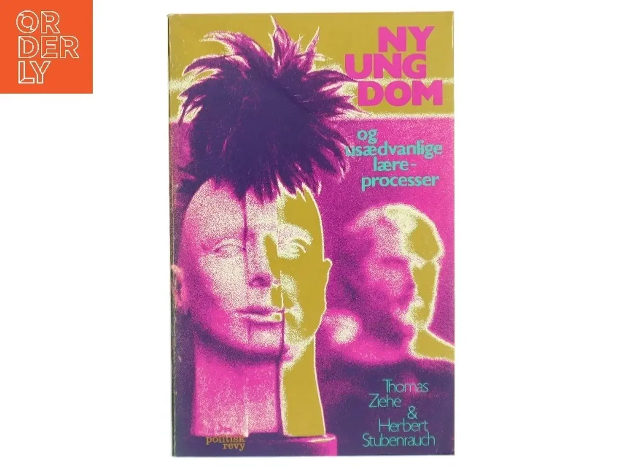 Billede 1 - Bog 'NY UNGDOM og usædvanlige lærerprocesser'